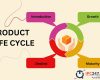 Vòng đời sản phẩm là gì? Tìm hiểu về Product Life Cycle